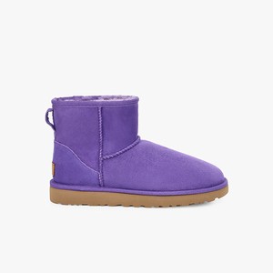 Ugg Classic Mini II Women Classic Boots Purple (1478YCJVP)